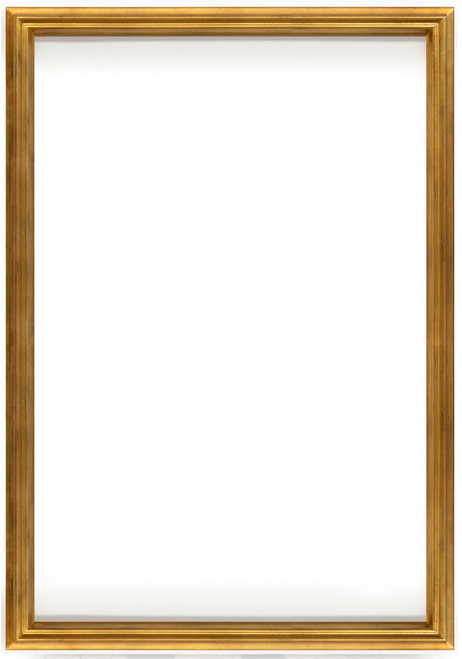 Simple Elegance Frame 24X36  Soft Gold
