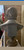 12006305CREL.jpg