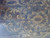 12013699DREL.jpg